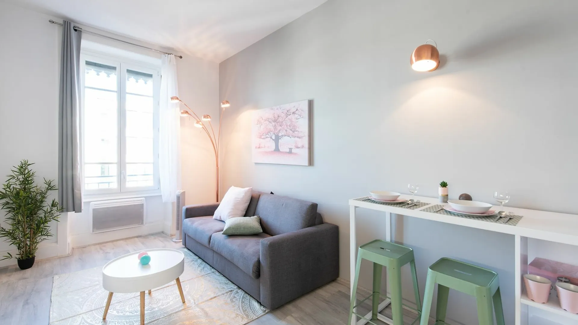 Apartmán Renting Lyon Pirard Francie
